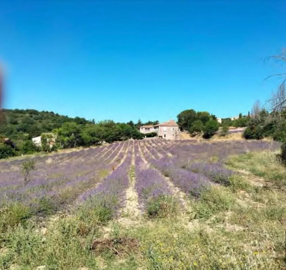 Bed & Breakfast Lou Paradou Luberon Reillanne Frankrig